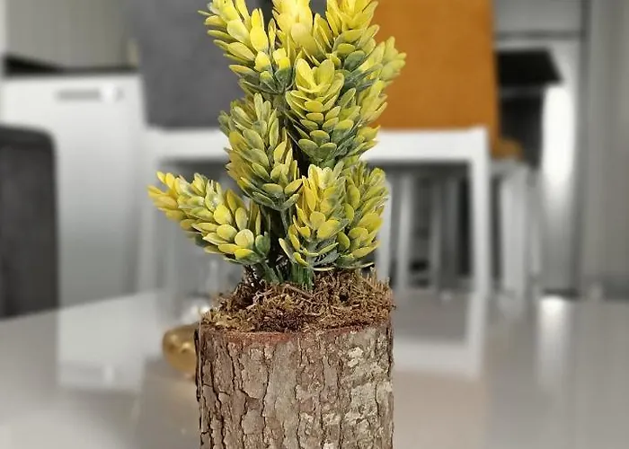 Comfortable Luxury *