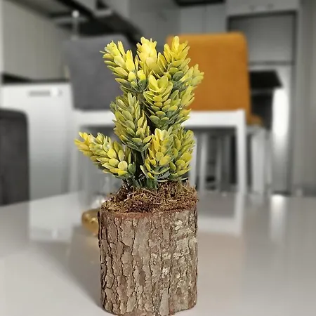 Comfortable Luxury *